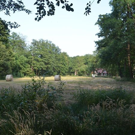 Vierseitenhof Appartements Burg  Esterno foto