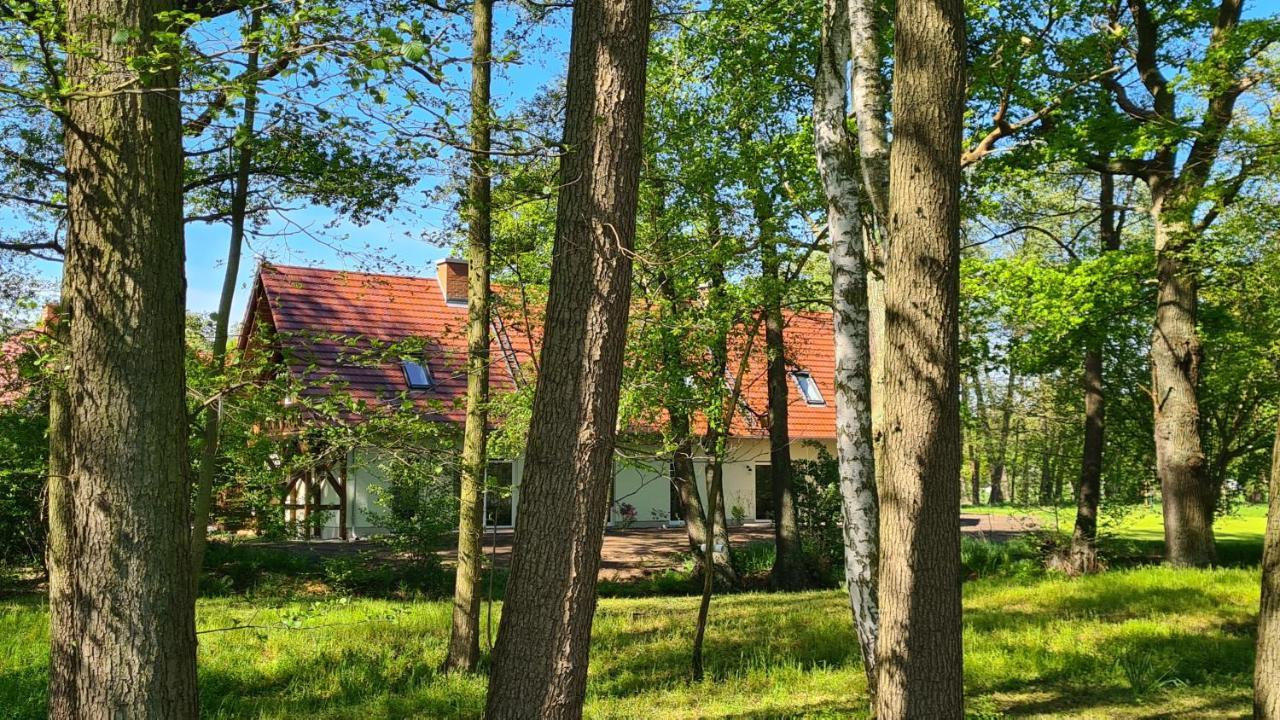 Vierseitenhof Appartements Burg  Esterno foto