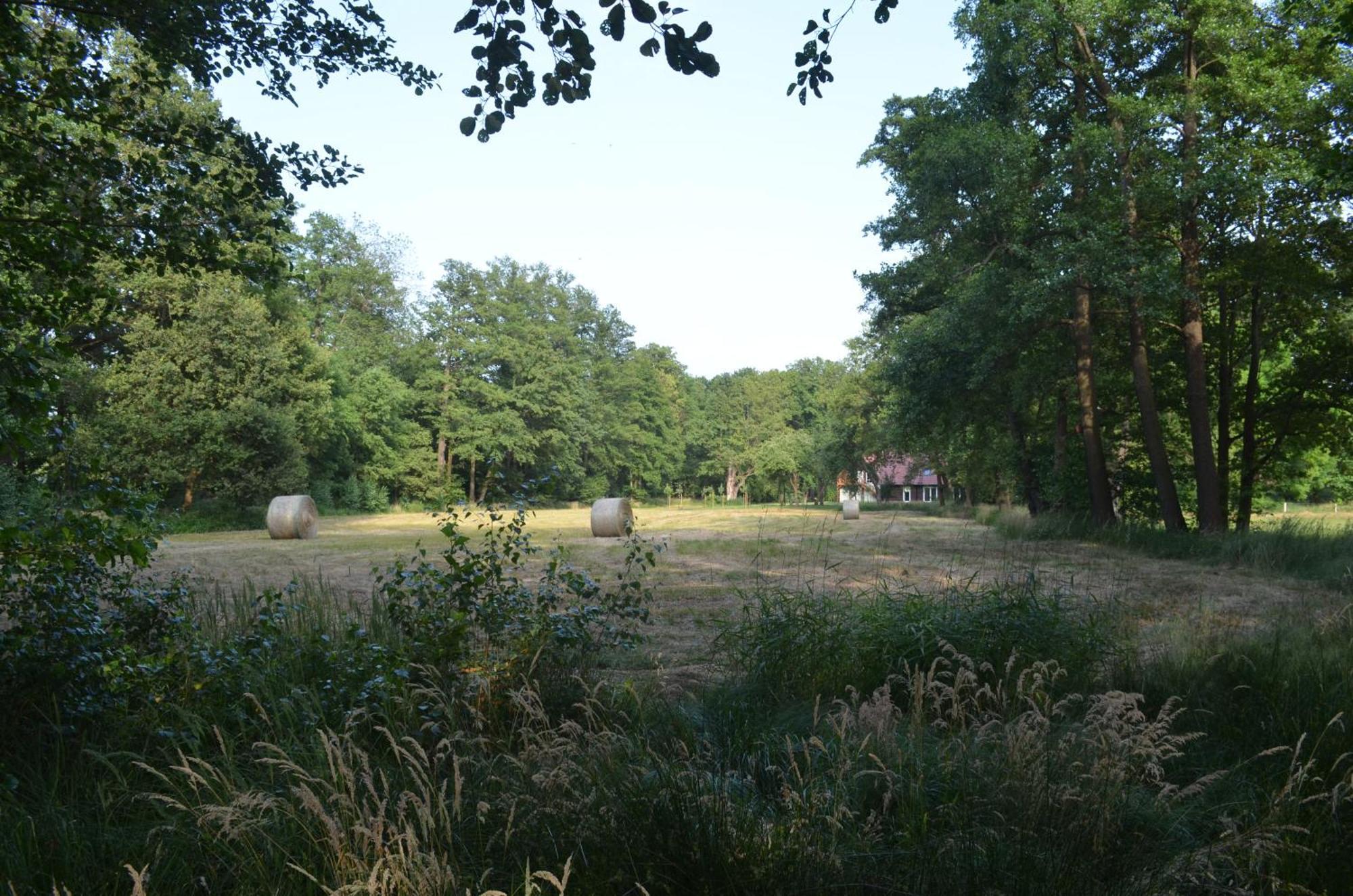Vierseitenhof Appartements Burg  Esterno foto