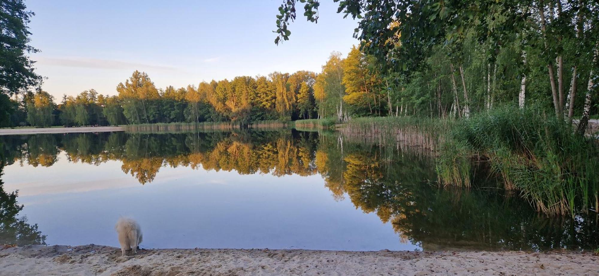 Vierseitenhof Appartements Burg  Esterno foto
